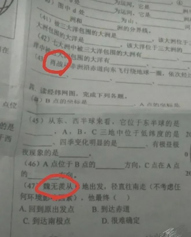 一码一肖100准资料应用，一码一肖精准资料应用解析