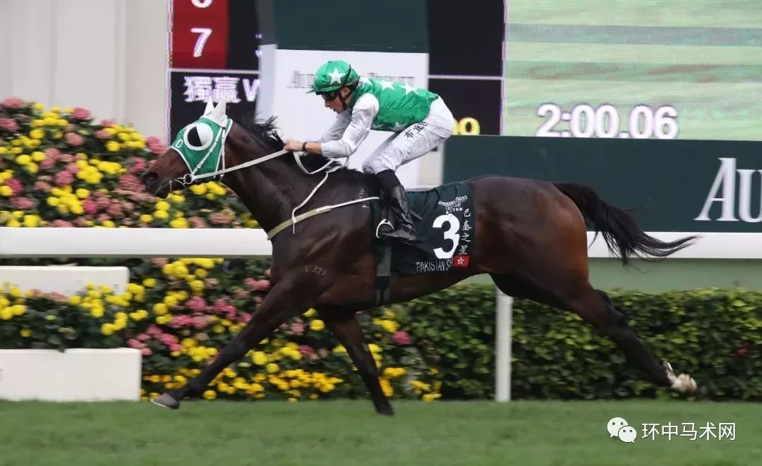揭秘香港今晚特马开彩之谜，香港今晚特马开彩揭秘真相