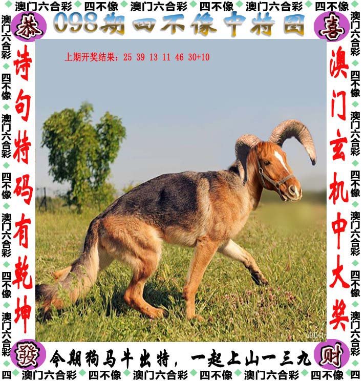 澳门今晚开特马四不像图，澳门特马四不像图今晚开奖结果