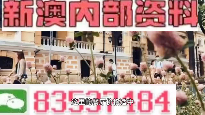 澳门最精准免费资料大全特色，澳门最全免费资料大全特色解析