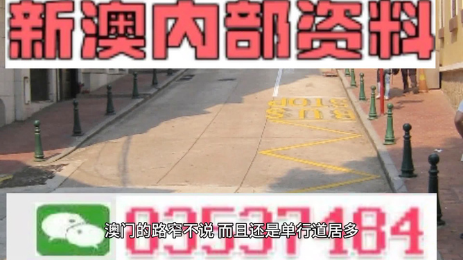 新门内部资料精准大全揭秘，新门内部资料揭秘大全