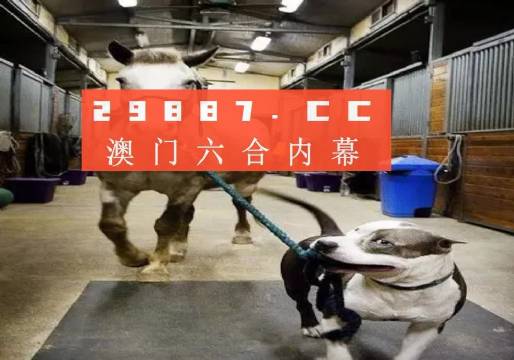澳门一肖一码一必中秘密，同舟前进的信仰与力量，澳门一肖一码必中信仰与力量的秘密
