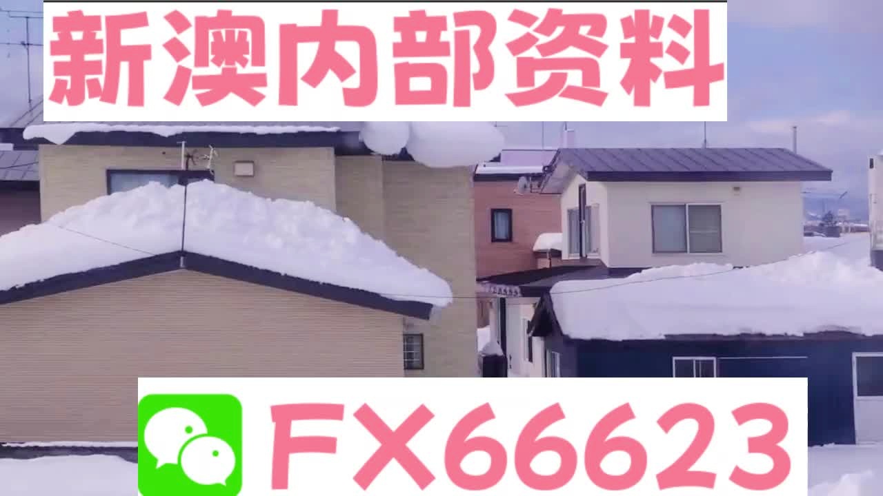 新奥天天精准资料大全，新奥天天精准资料全解析