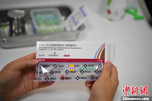 二四六香港管家婆期期准资料大全——深度解析与实用指南，香港管家婆期期准资料深度解析与实用指南
