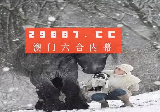 澳门天天彩期期精准龙门客栈，一网打尽彩票资讯，澳门天天彩期期精准，龙门客栈彩票资讯一网打尽