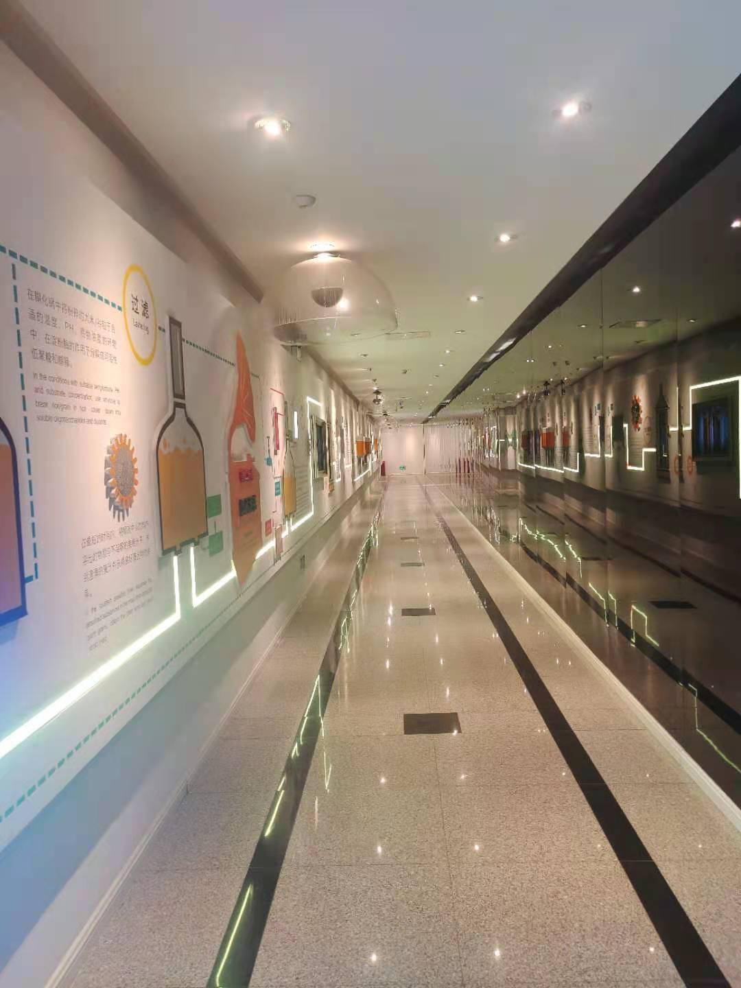 澳门一码一肖一待一中四不像，澳门一码一肖一待一中四不像揭秘