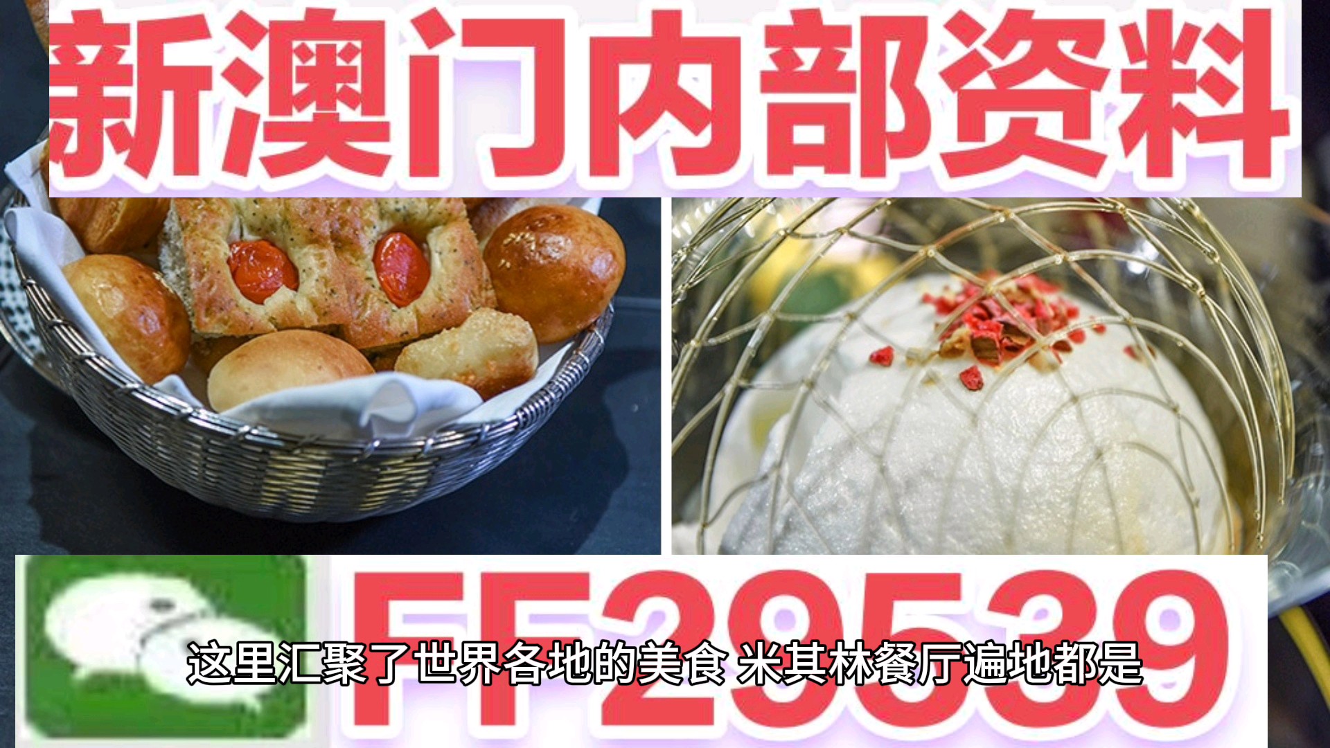 2025正版澳门跑狗图最新版今天——深度解读与预测，澳门跑狗图深度解读与预测，展望最新正版趋势（2025年）