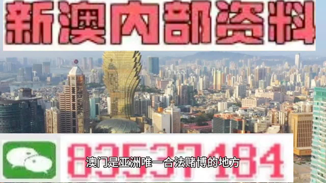 澳门内部最精准资料绝技大揭秘，澳门内部精准资料绝技揭秘独家揭秘澳门内部资料，绝技大揭秘