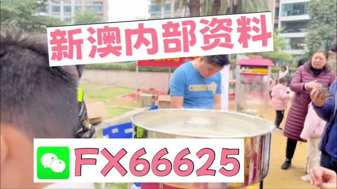 澳门正版免费全年资料大全旅游团，一站式体验澳门的魅力，澳门魅力之旅，全年正版资料大全与旅游团一站式体验