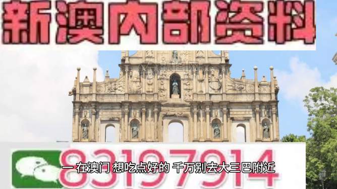 新澳新澳门正版资料，新澳新澳门正版资料概览