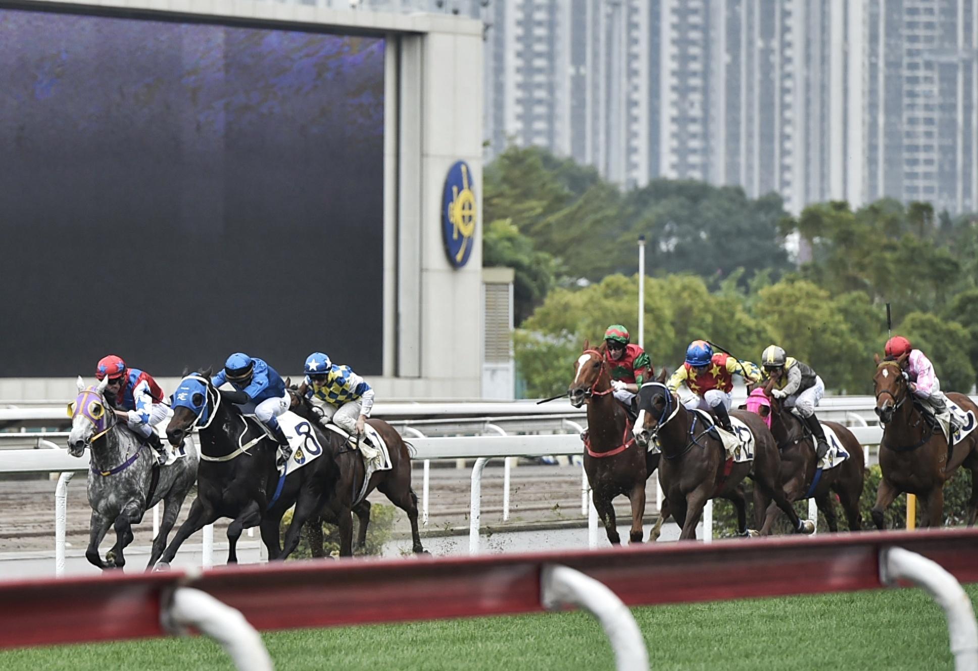 澳门赛马会网址大全免费，澳门赛马会网址大全，免费入口集合