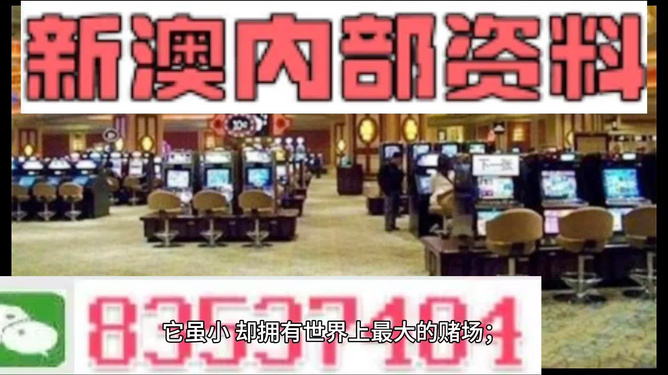 澳门正版精准免费大全，一网打尽各类资讯与服务，澳门正版资讯大全，精准免费，一网打尽各类服务与资讯
