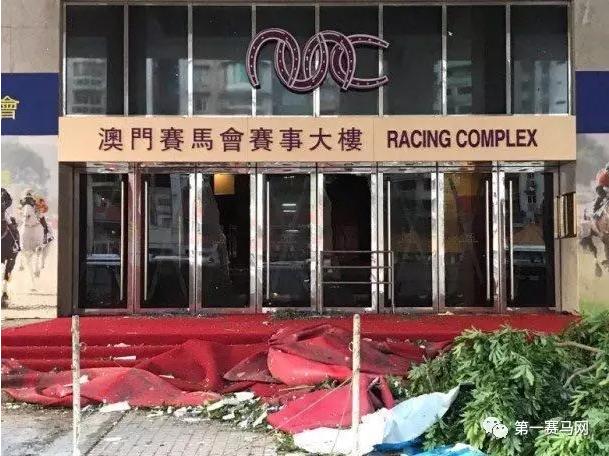 马会传真资料2025澳门，澳门马会传真资料揭秘，探索未来的2025展望