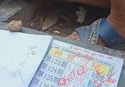 2025六开彩天天免费资料大全——一网打尽彩票资讯与技巧，2025六开彩天天免费资料大全，一网打尽彩票资讯与技巧总汇