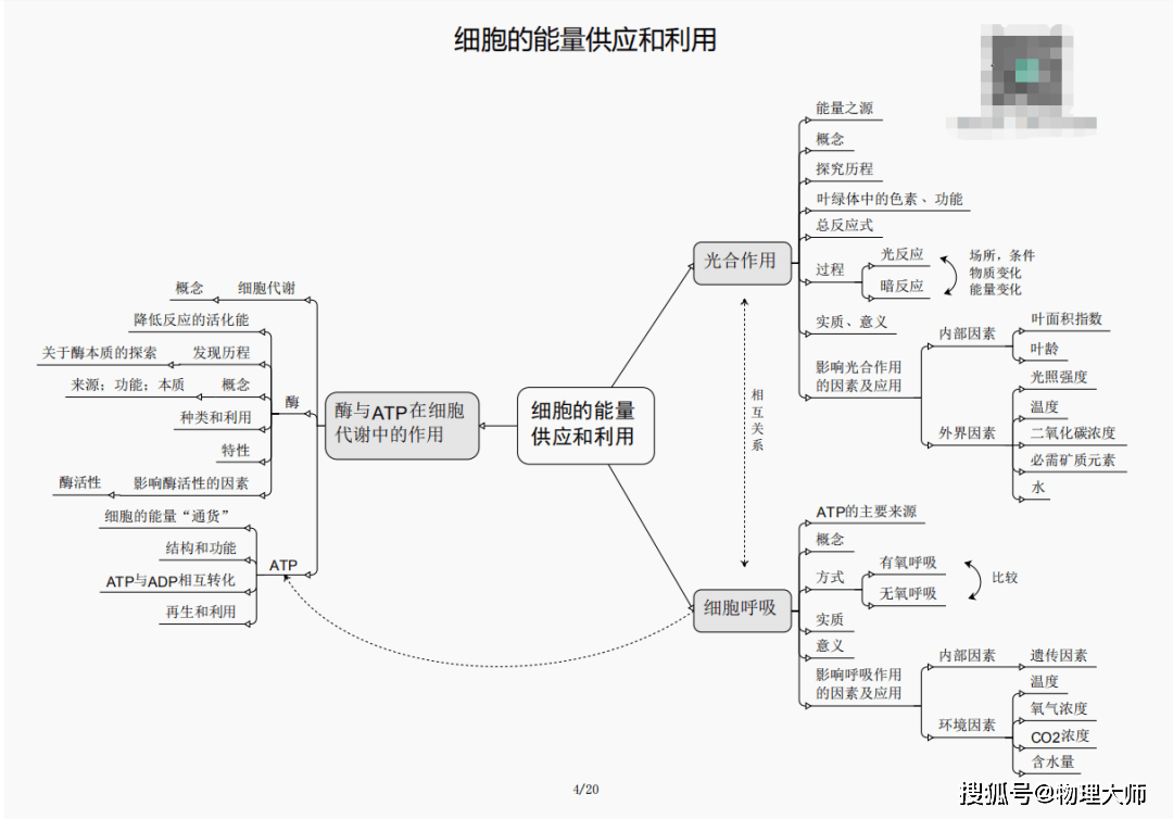 揭秘白小姐三期必出一肖种特的神秘面纱，揭秘白小姐三期必出一肖种特的秘密传奇