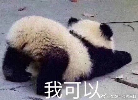 四不像今晚必中一肖，四不像预测，今晚必中一肖精选