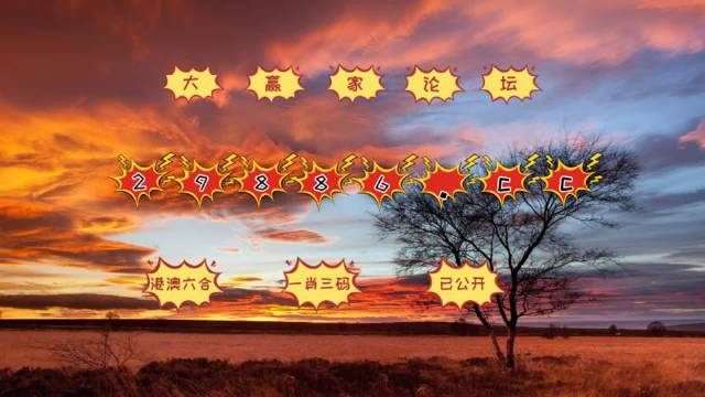 探索未来，2025澳门最精准跑狗图揭秘，揭秘澳门跑狗图，探索未来的精准预测（2025版）