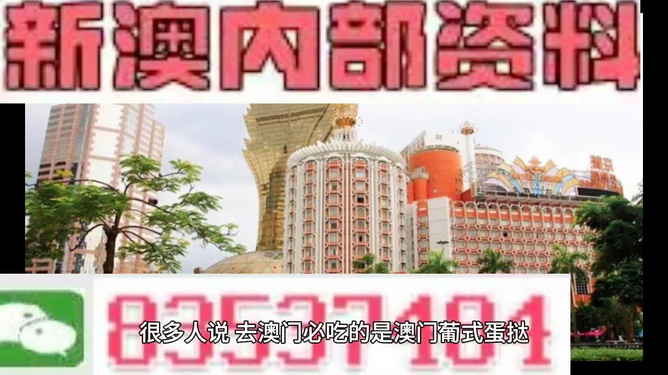 新澳门最精准资料大全，澳门最新精准资料大全
