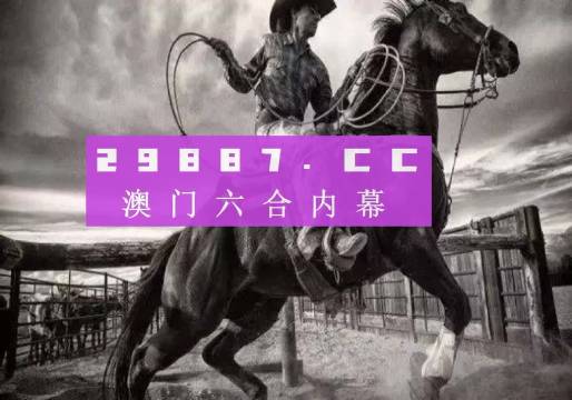 澳门正版精准免费大全，一网打尽各类资讯与服务，澳门正版资讯大全，精准免费，一网打尽各类服务与资讯