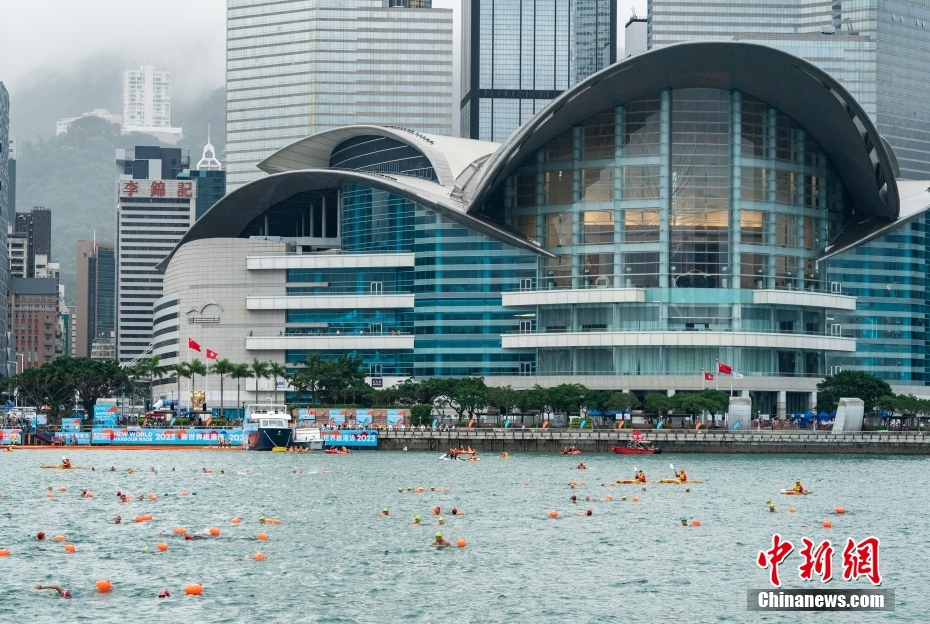 香港正版资料的下载之道，香港正版资料的下载指南