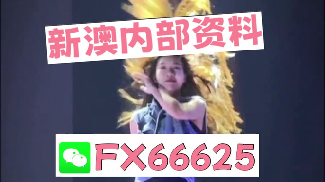 新澳门内部一码精准公开，探索前沿科技的魅力，澳门前沿科技揭秘，一码精准公开探索科技魅力