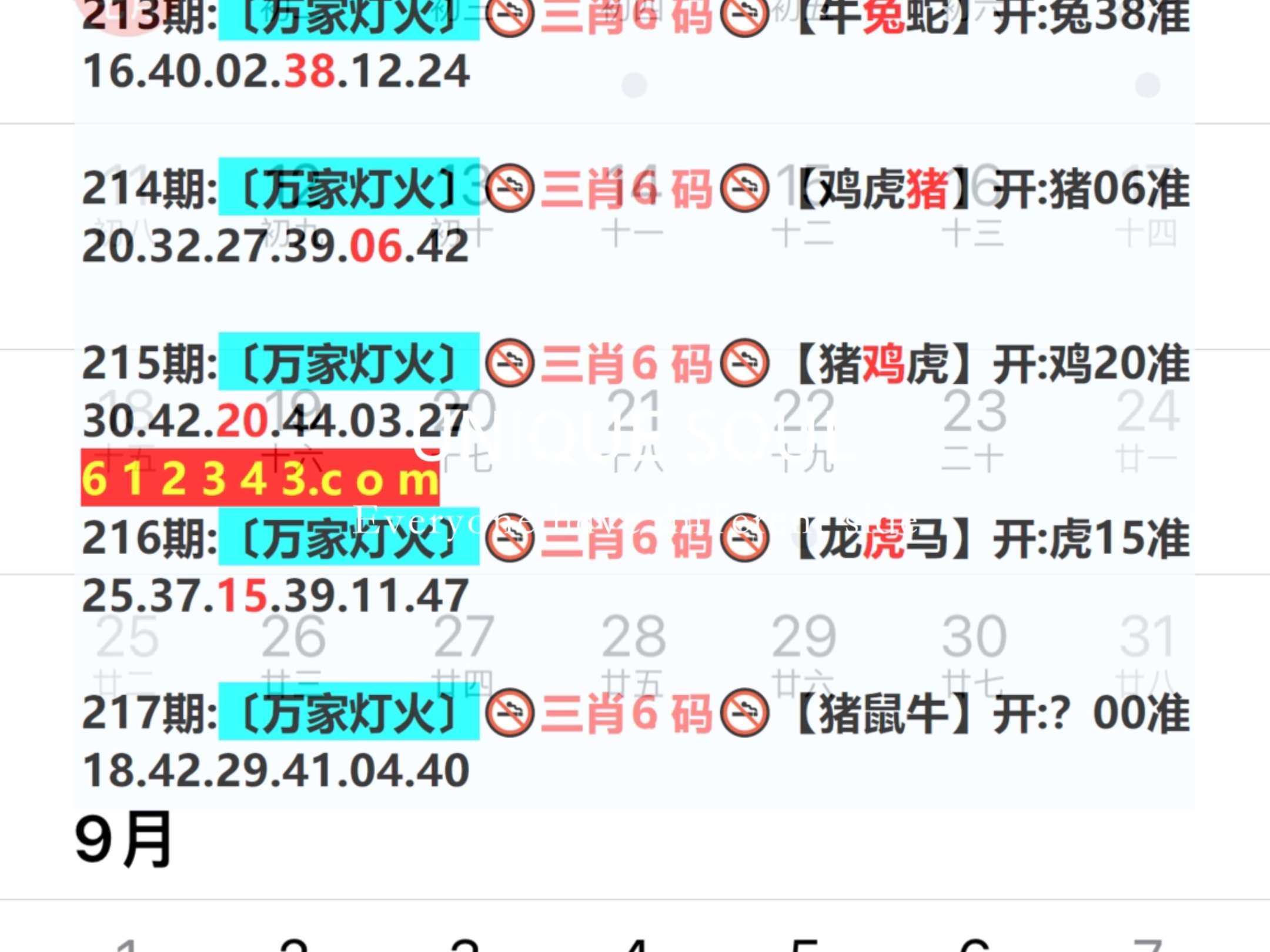 新奥彩资料长期免费公开,奥门，澳门新奥彩资料长期免费公开分享