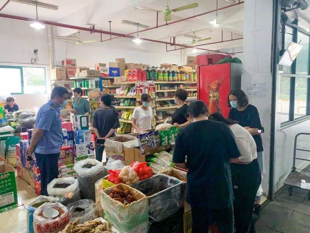 新澳好彩免费资料查询最新版本，全面解析与实用指南，新澳好彩免费资料查询最新版解析与指南