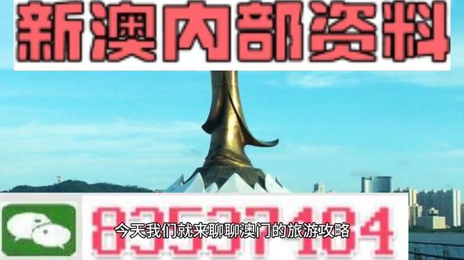 澳门最精准免费资料大全旅游团——探索澳门的绝佳选择，澳门最精准免费资料大全旅游团，探索澳门的最佳之旅