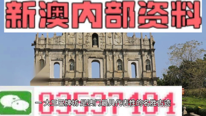 澳门最精准免费资料大全旅游团——探索澳门之旅的完美指南，澳门旅游团精准资料大全，探索澳门之旅的完美指南