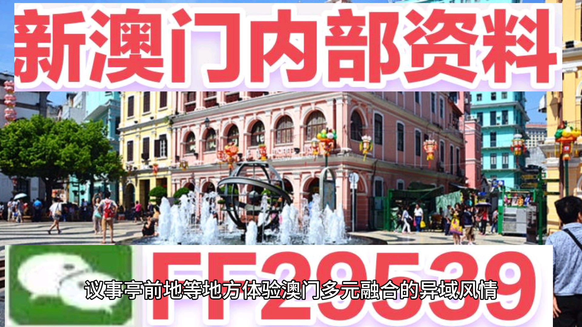 揭秘澳门特马开奖背后的秘密，亿彩网书肖探秘，澳门特马开奖背后的秘密揭秘，亿彩网书肖探秘之旅