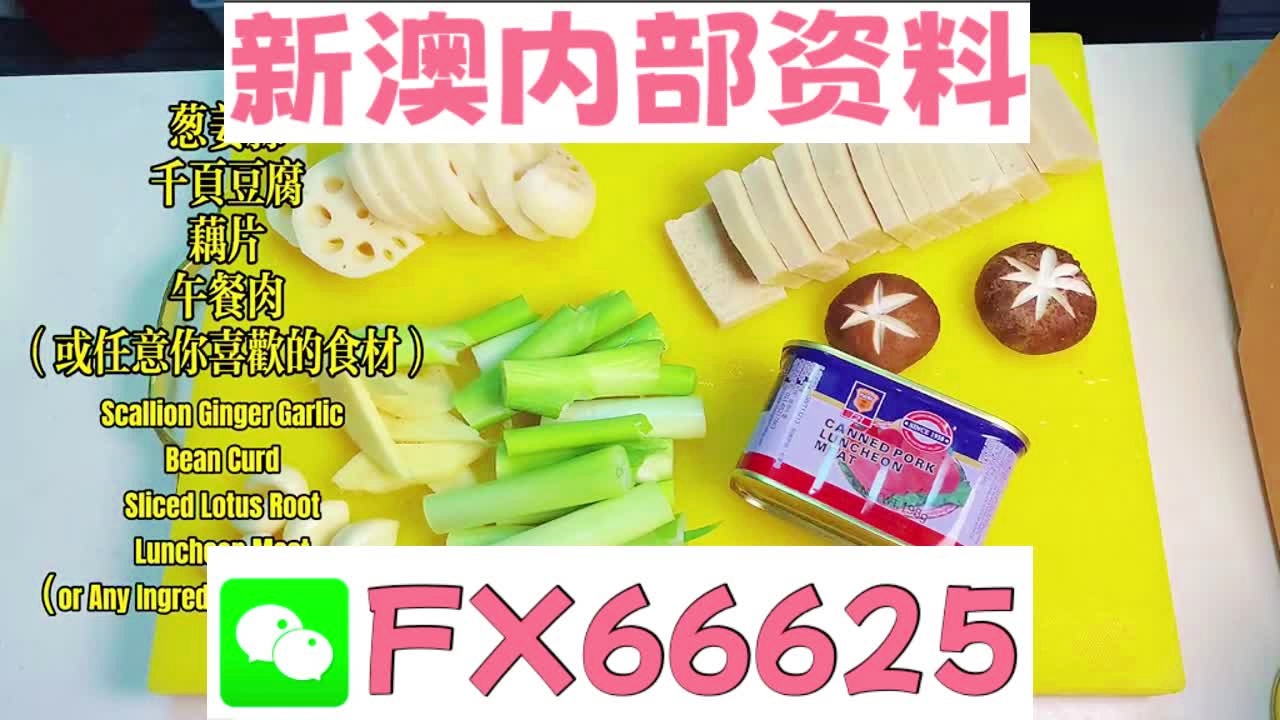『深度解析』，2025新澳精准资料大全详解，深度解析，2025新澳精准资料大全详解与指南