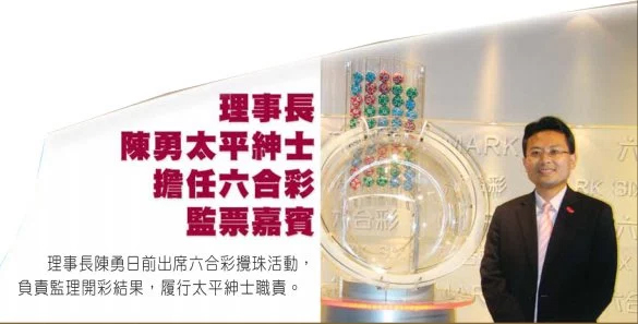 2025年香港今晚开奖结果查询表，香港今晚开奖结果查询表（2025年）