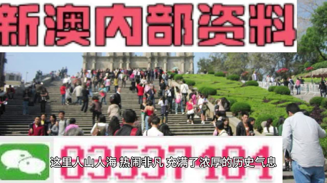 澳门最精准免费资料大全旅游团，一站式旅游体验新高度，澳门旅游团，一站式精准免费资料大全，体验全新高度