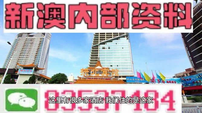 澳门最精准免费资料大全旅游团，带你玩转澳门！，澳门旅游团攻略，最精准免费资料带你玩转澳门！