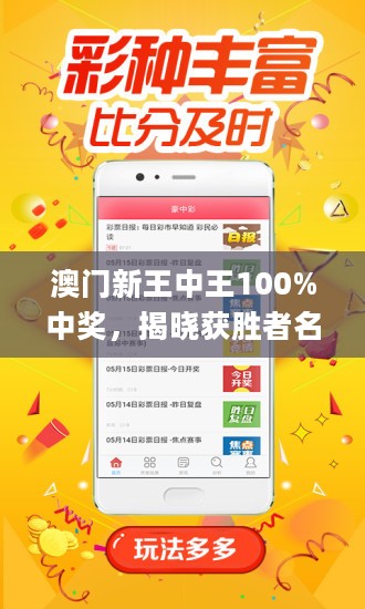 揭秘新澳门王中王，期期中现象的背后，揭秘新澳门王中王期期中现象内幕