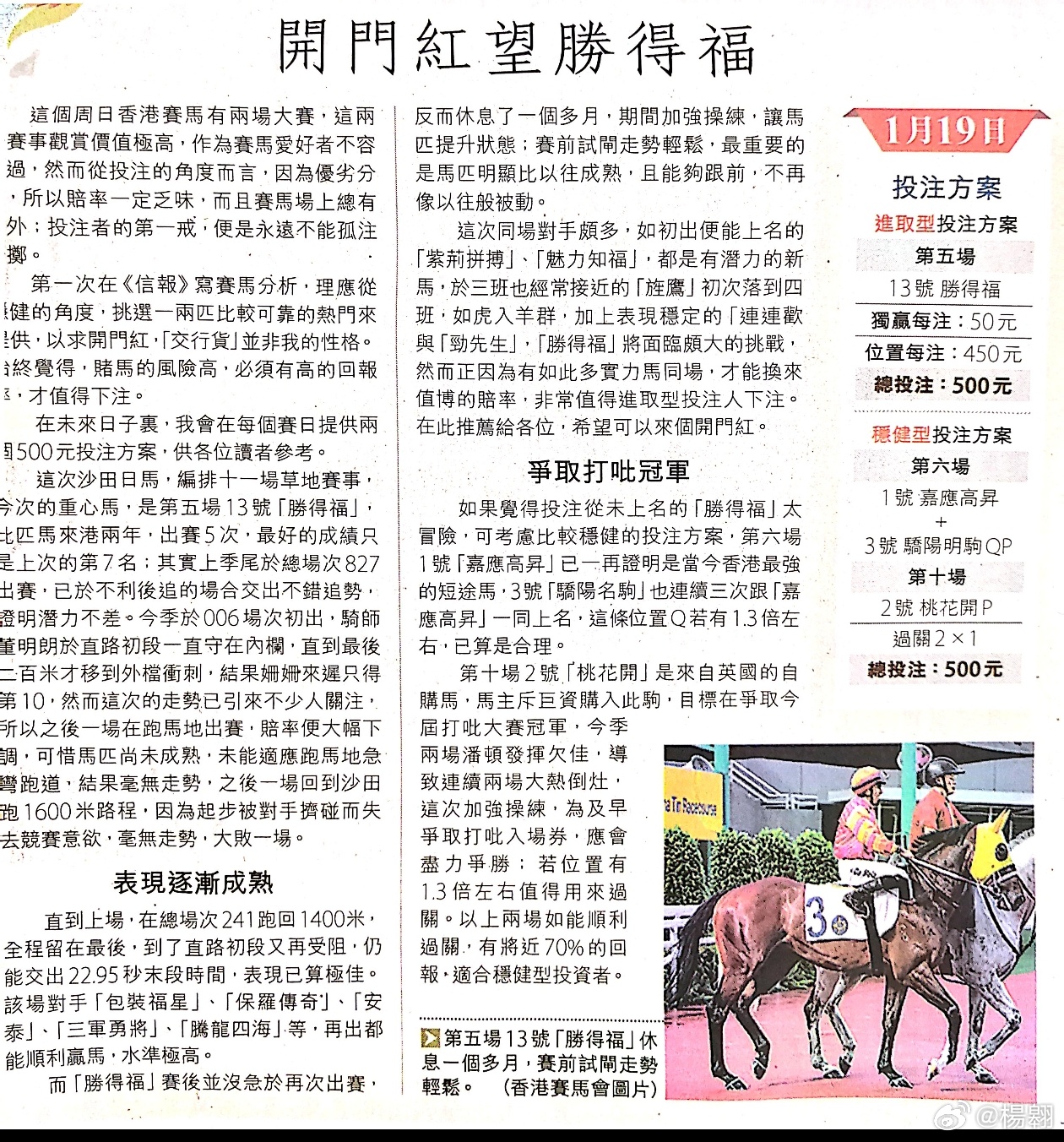 香港2025马会传真资料四十一期，香港马会传真资料四十一期解析与展望
