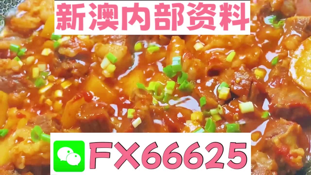 新奥门免费资料大全——在线查看的便捷之道，新奥门免费资料大全，在线便捷查看的门户
