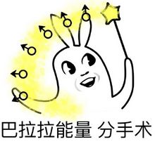 新奥今晚9.30分开什么生肖，新奥今晚9点生肖揭晓活动