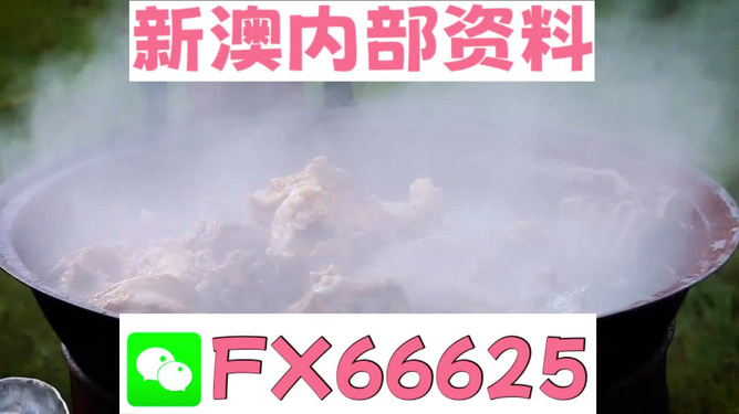 新澳全年免费资料大全，新澳全年免费资料大全汇总