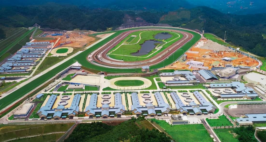 香港2025马会传真资料，香港2025马会传真资料概览