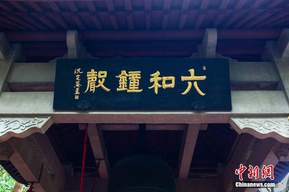 关于六和彩资料获取途径及六和总刚相关信息的探讨，六和彩资料获取途径及总刚信息探讨