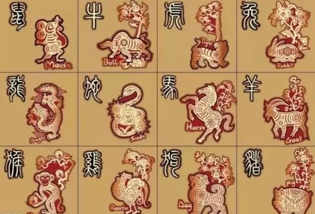 揭秘溜干二净背后的生肖传奇，揭秘生肖传奇中的溜干二净传奇故事