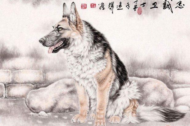 今晚开的四不像生肖图，今晚四不像生肖图揭晓