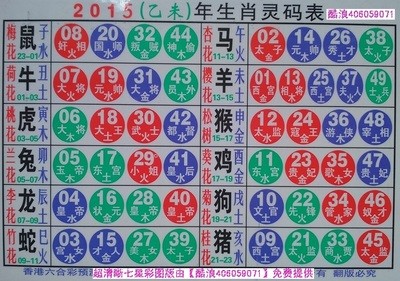 揭秘2024十二生肖49码表图，揭秘十二生肖49码表图，2024年全新解读
