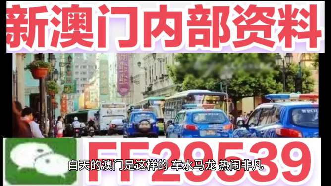2025澳门今晚开奖结果，澳门今晚开奖结果揭晓预告（2025年）