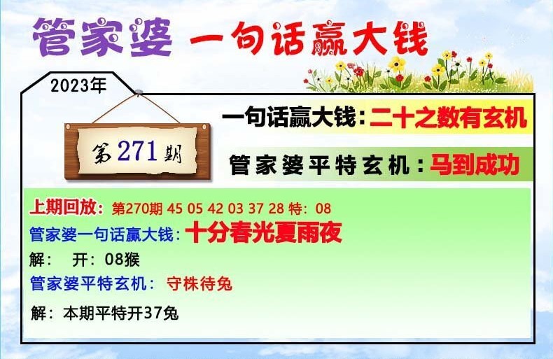 揭秘777777888888管家婆一肖一码的秘密，揭秘，管家婆一肖一码的秘密，数字组合背后的真相