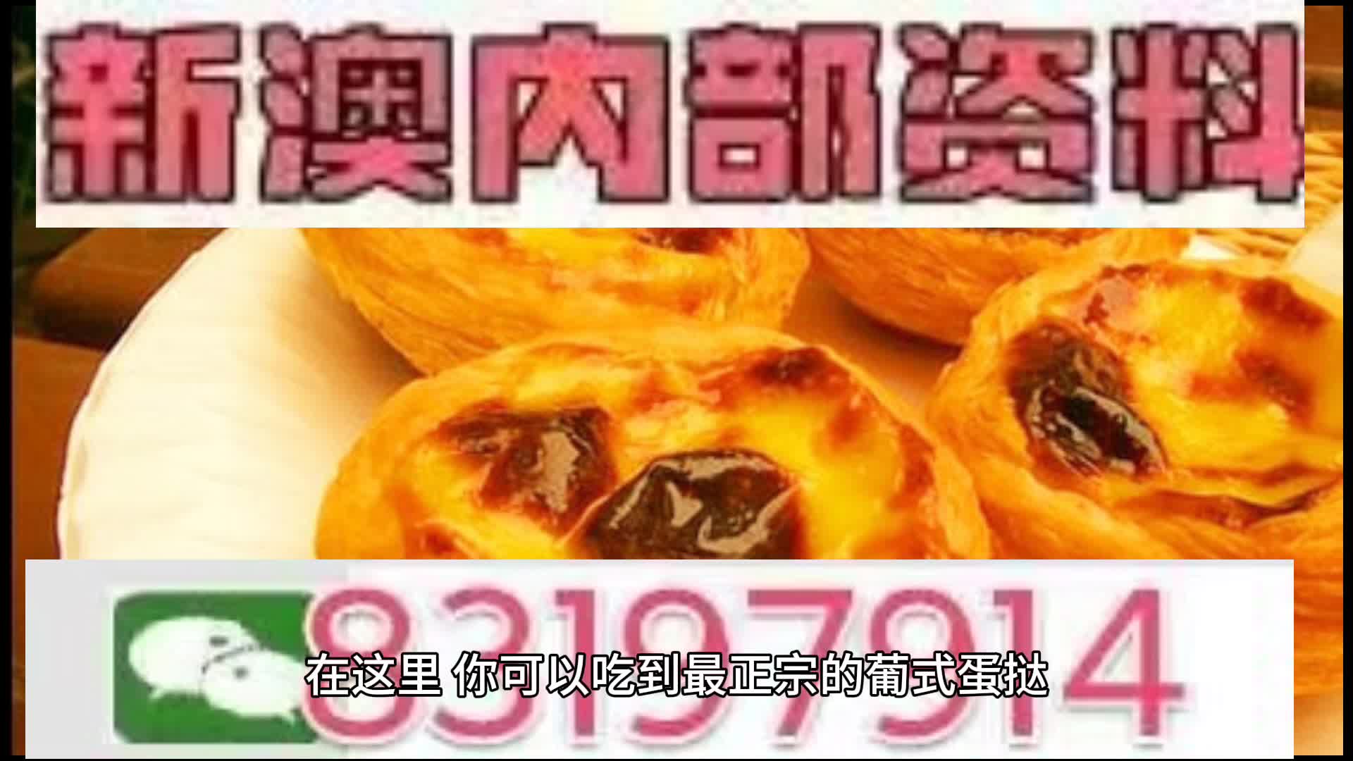 新澳门精准10码中特，探索现代博彩文化的新篇章，现代博彩文化新篇章，新澳门精准10码中特探索