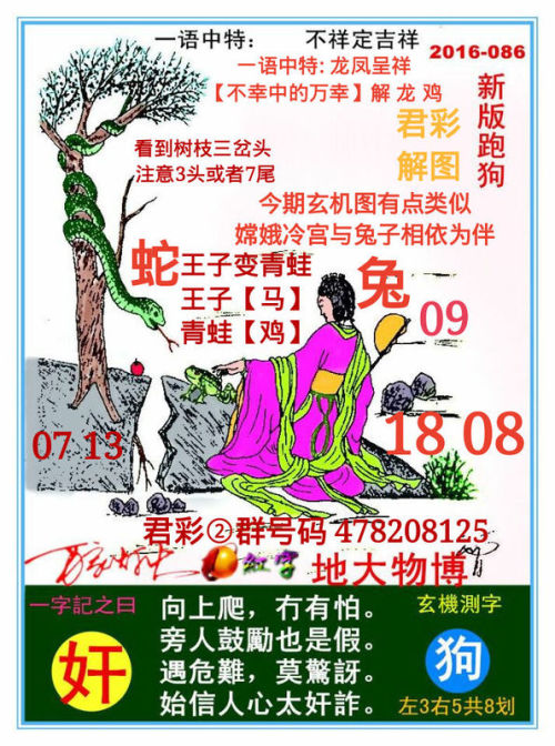 揭秘7777788888精准跑狗图——一网打尽跑狗图真相与奥秘，揭秘精准跑狗图真相与奥秘，一网打尽77777与88888跑狗图的秘密