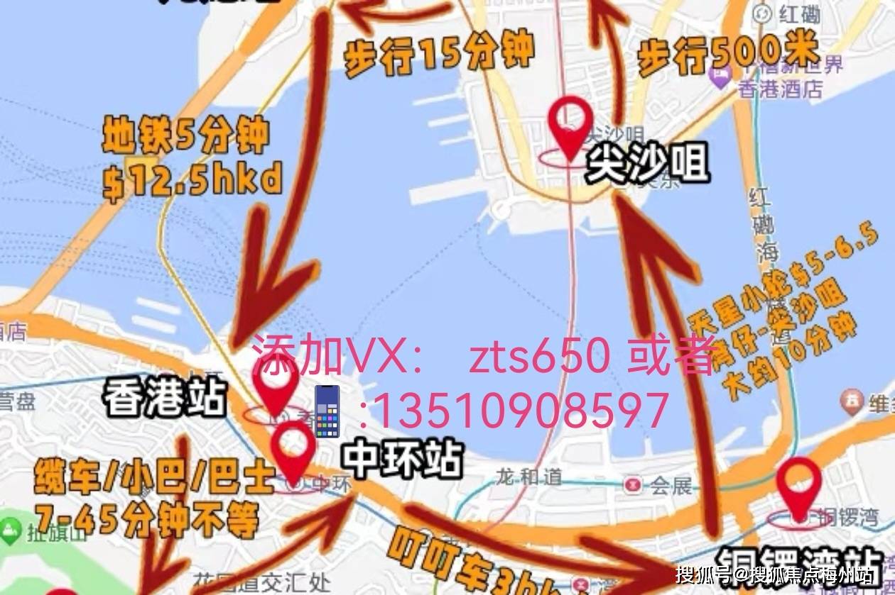 关于香港今晚特马的预测与探讨——以2025年为背景的文章，香港特马预测与探讨，以2025年为背景分析文章