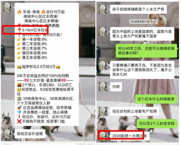新澳门黄大仙8码大公开，揭秘澳门黄大仙8码秘籍